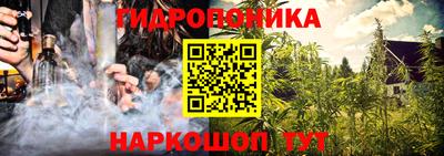 прущие грибы Мариинск