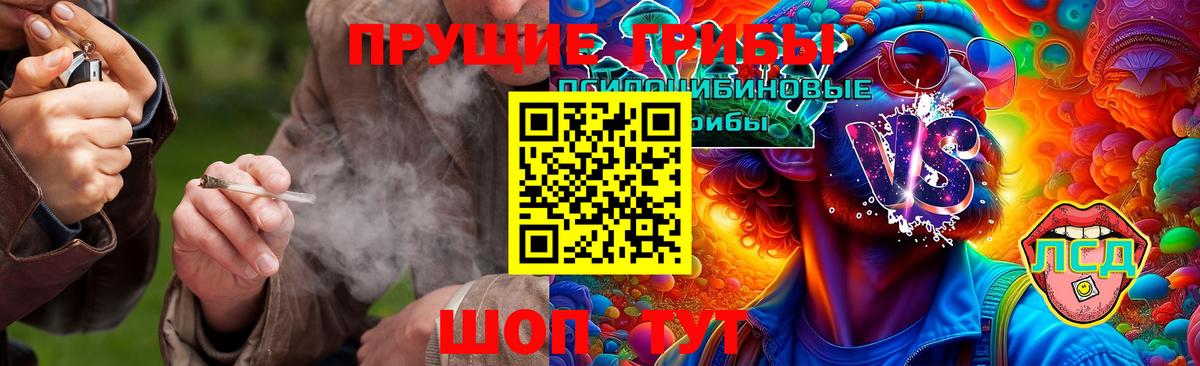 где продают наркотики  Вход с VPN  Ивантеевка  Галлюциногенные грибы GOLDEN TEACHER 