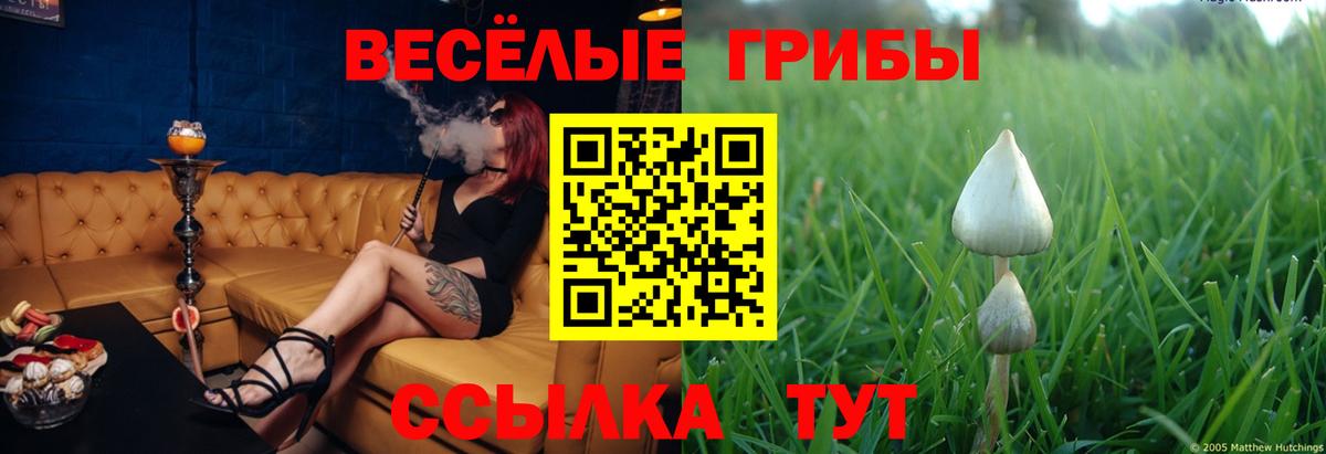 Псилоцибиновые грибы мицелий Ивантеевка
